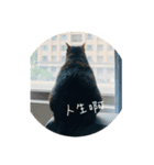 Neko lulu 5（個別スタンプ：2）