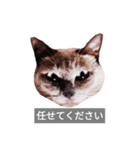 遺志を継ぐ者（個別スタンプ：2）