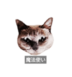 遺志を継ぐ者（個別スタンプ：6）