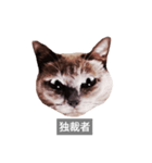 遺志を継ぐ者（個別スタンプ：7）
