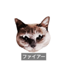 遺志を継ぐ者（個別スタンプ：10）