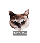 遺志を継ぐ者（個別スタンプ：11）