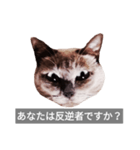 遺志を継ぐ者（個別スタンプ：12）