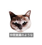 遺志を継ぐ者（個別スタンプ：19）