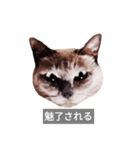 遺志を継ぐ者（個別スタンプ：26）