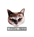 遺志を継ぐ者（個別スタンプ：28）