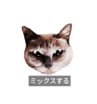 遺志を継ぐ者（個別スタンプ：29）