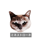 遺志を継ぐ者（個別スタンプ：31）