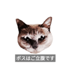 遺志を継ぐ者（個別スタンプ：35）
