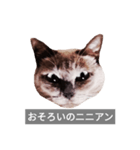 遺志を継ぐ者（個別スタンプ：36）