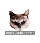 遺志を継ぐ者（個別スタンプ：37）