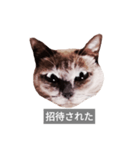 遺志を継ぐ者（個別スタンプ：38）