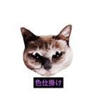 妖艶な脱獄者（個別スタンプ：2）