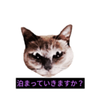 妖艶な脱獄者（個別スタンプ：4）