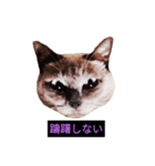 妖艶な脱獄者（個別スタンプ：5）