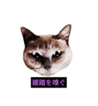 妖艶な脱獄者（個別スタンプ：6）