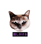 妖艶な脱獄者（個別スタンプ：7）