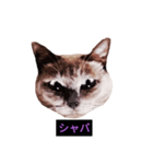 妖艶な脱獄者（個別スタンプ：12）