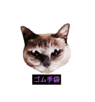 妖艶な脱獄者（個別スタンプ：15）