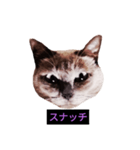 妖艶な脱獄者（個別スタンプ：16）