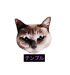 妖艶な脱獄者（個別スタンプ：17）