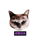 妖艶な脱獄者（個別スタンプ：19）