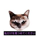妖艶な脱獄者（個別スタンプ：21）