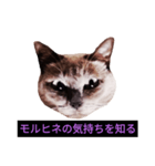 妖艶な脱獄者（個別スタンプ：22）