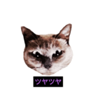 妖艶な脱獄者（個別スタンプ：23）