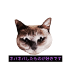 妖艶な脱獄者（個別スタンプ：24）
