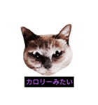 妖艶な脱獄者（個別スタンプ：25）