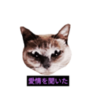 妖艶な脱獄者（個別スタンプ：26）