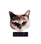 妖艶な脱獄者（個別スタンプ：27）
