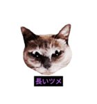 妖艶な脱獄者（個別スタンプ：28）