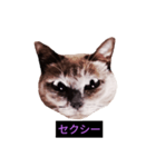 妖艶な脱獄者（個別スタンプ：30）