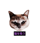妖艶な脱獄者（個別スタンプ：31）