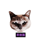 妖艶な脱獄者（個別スタンプ：34）
