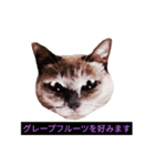 妖艶な脱獄者（個別スタンプ：35）