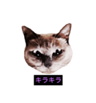 妖艶な脱獄者（個別スタンプ：36）