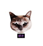 妖艶な脱獄者（個別スタンプ：37）