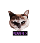妖艶な脱獄者（個別スタンプ：39）