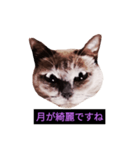妖艶な脱獄者（個別スタンプ：40）
