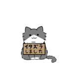 長毛ハチワレ灰白にゃんこ3（個別スタンプ：34）