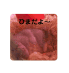 マロンハムスター（個別スタンプ：22）
