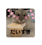 マロンハムスター（個別スタンプ：23）