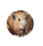 ハムスター癒される（個別スタンプ：1）