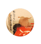 ハムスター癒される（個別スタンプ：5）