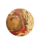 ハムスター癒される（個別スタンプ：6）