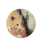 ハムスター癒される（個別スタンプ：18）