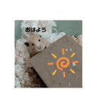 ハムスターのぷりんです（個別スタンプ：14）